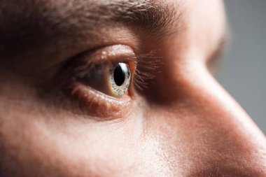close up view of adult man eye looking away clipart