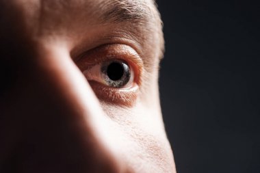 close up view of adult man eye with eyelashes and eyebrow looking away isolated on black clipart