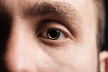 close up view of human eye with eyelashes and eyebrow looking at camera clipart