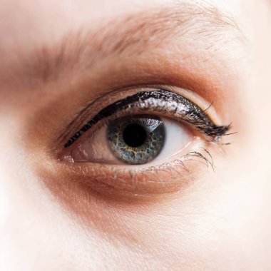 close up view of woman blue eye looking at camera clipart