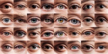 collage with human beautiful eyes of different colors  clipart