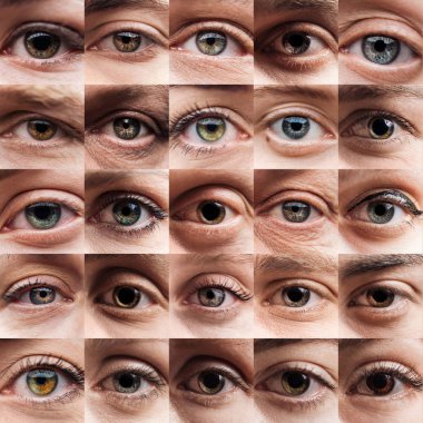 collage with human beautiful eyes of different colors  clipart