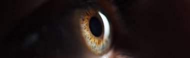 close up view of human colorful eye in darkness, panoramic shot clipart