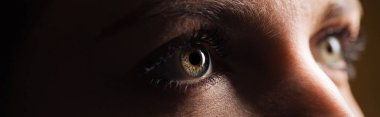 close up view of human eye looking away in dark, panoramic shot clipart