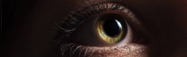 close up view of human bright eye looking away in dark, panoramic shot clipart