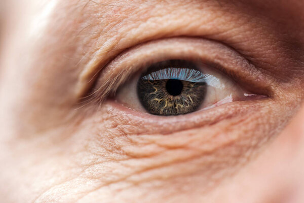 close up view of senior man eye with eyelashes and eyebrow looking at camera