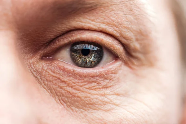 Zbliżenie Oko Dojrzałego Człowieka Rzęsami Brwi Patrząc Kamerę — Zdjęcie stockowe