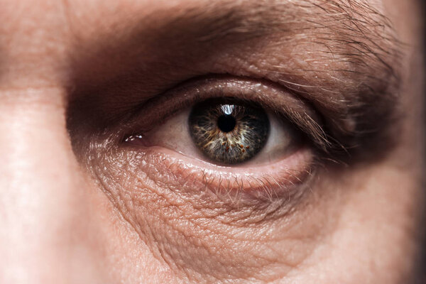 close up view of mature man eye with eyelashes and eyebrow looking at camera
