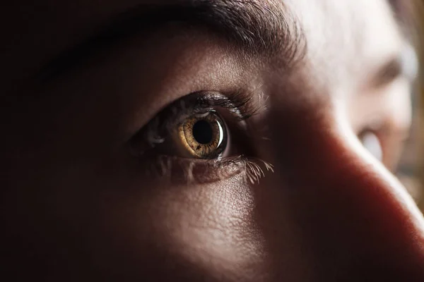 Close View Adult Woman Eye Eyelashes Eyebrow Looking Away Dark — Stock Photo, Image