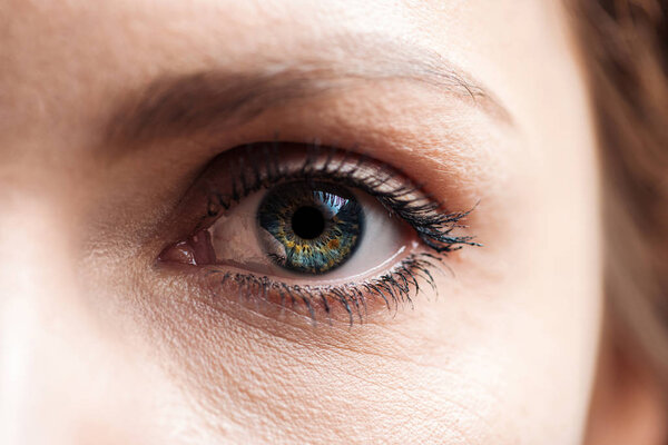 close up view of young woman green eye with eyelashes and eyebrow looking at camera