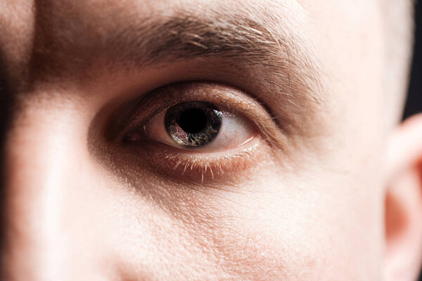 close up view of adult man eye with eyelashes and eyebrow looking at camera