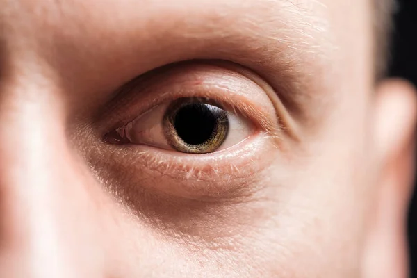 Close View Adult Man Eye Looking Camera — Stock Photo, Image