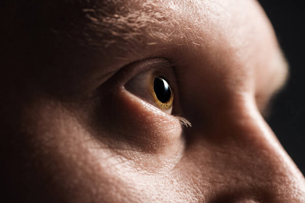 крупный план глаза зрелого мужчины с глазами и бровями, отводящими взгляд
