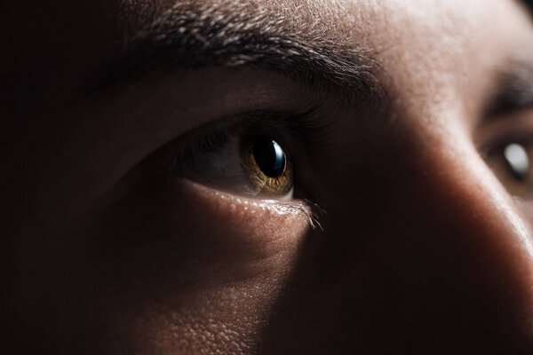close up view of adult man eye with eyelashes and eyebrow looking away