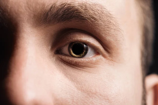 Close View Human Eye Eyelashes Eyebrow Looking Camera — Stock Photo, Image