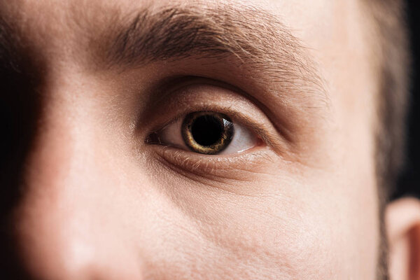 крупный план человеческого глаза с помощью ресниц и бровей, смотрящих в камеру
