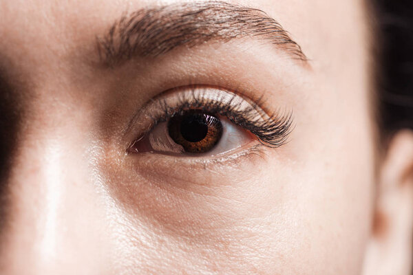 close up view of young woman brown eye with eyelashes and eyebrow looking at camera