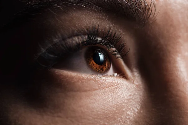Close View Adult Woman Brown Eye Looking Away Darkness — Stock Photo, Image