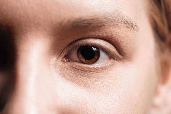close up view of young woman brown eye looking at camera