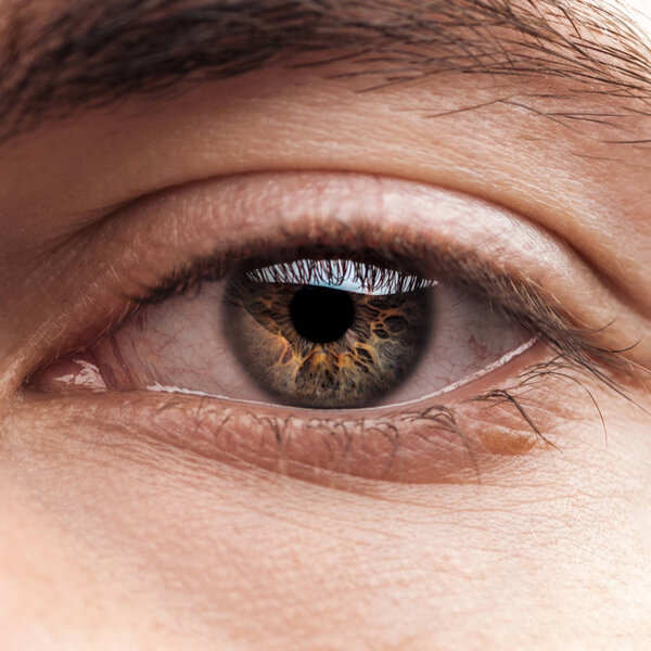 close up view of human colorful eye with eyelashes