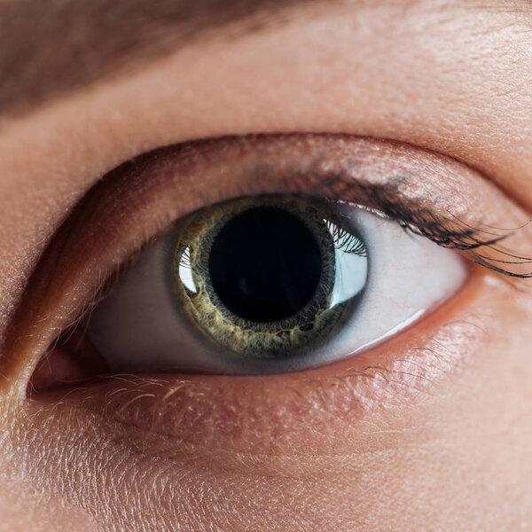 close up view of human green colorful eye with eyelashes