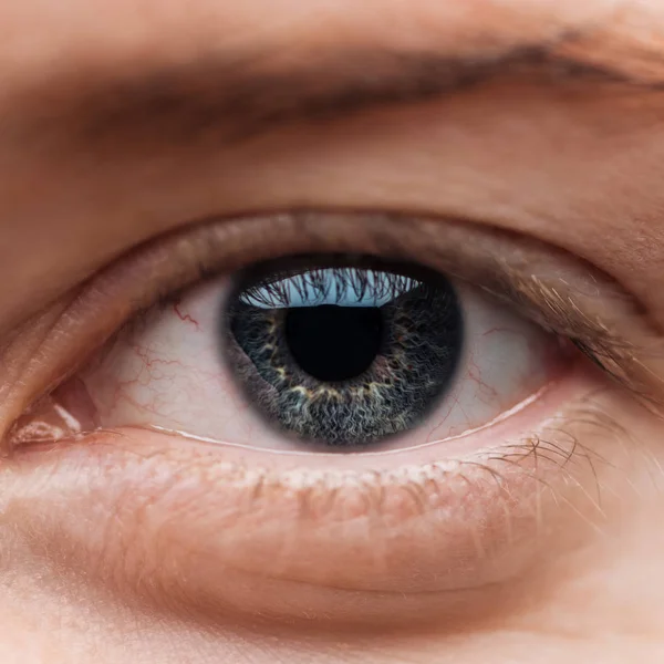 Vista Cerca Del Ojo Colorido Azul Humano Con Pestañas —  Fotos de Stock