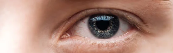 カメラを見て人間の透明な目のクローズアップビュー パノラマショット — ストック写真