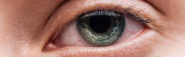 Vista Perto Olho Verde Humano Olhando Para Câmera Tiro Panorâmico — Fotografia de Stock