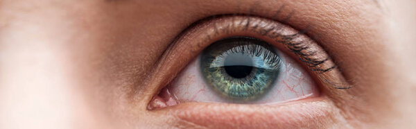close up view of human clear green eye looking away, panoramic shot