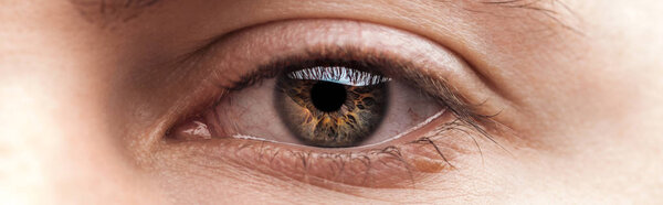 close up view of human eye, panoramic shot