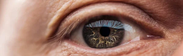 Bliska Widzenia Ludzkiego Szare Oko Patrząc Aparat Fotograficzny Panoramiczny Strzał — Zdjęcie stockowe