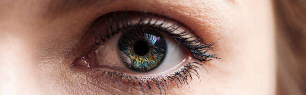 close up view of human blue eye looking at camera, panoramic shot