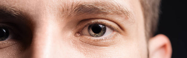 крупный план человеческих серых глаз, смотрящих на камеру, панорамный снимок
