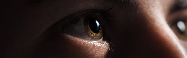 close up view of human brown eye looking away in dark, panoramic shot