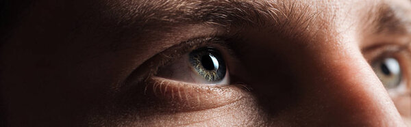close up view of human grey eyes looking away in dark, panoramic shot