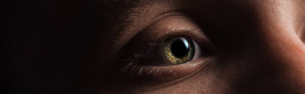 close up view of human green eye looking away in dark, panoramic shot