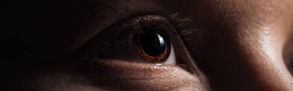 close up view of human brown eye looking away in dark, panoramic shot