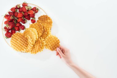 beyaz tabak yakınında waffle tutan kadın kırpılmış görünümü