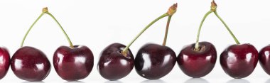 panoramic shot of fresh, sweet, red and ripe cherries on white background  clipart