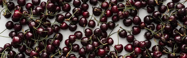 Panoramic Shot Fresh Sweet Red Cherries White Background — Stock Photo, Image