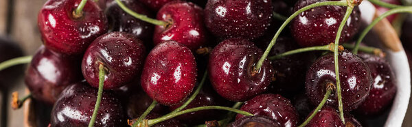 panoramic shot of fresh, sweet, red and ripe cherries covered with water drops 