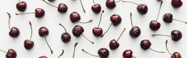 panoramic shot of fresh, sweet, red and ripe cherries with droplets on white background 