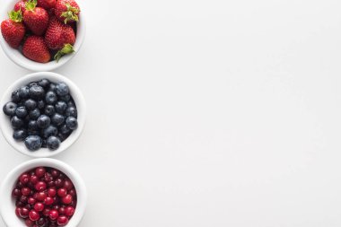 tüm kızılcık ve yaban mersini üst görünümü, kase çilek 