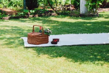 wicker basket with flowers and bottle of wine on white blanket near berries in shadow in green garden clipart