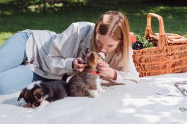 çekici sarışın kız bahçede beyaz battaniye oturan ve sevimli Galce Corgi yavru ile oynarken