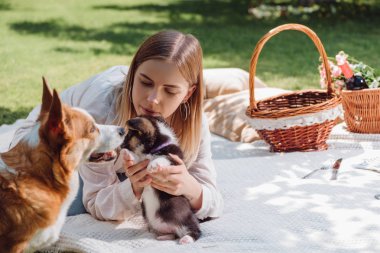 sevimli Galce Corgi köpek ve köpek hasır sepetleri yakın bahçede beyaz battaniye üzerinde oturan çekici sarışın kız