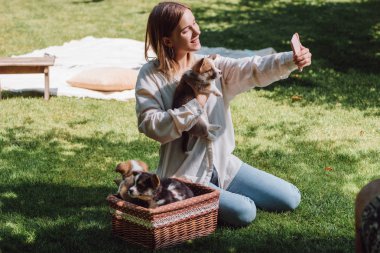 mutlu güzel sarışın kız hasır kutusunda Galce Corgi sevimli yavru ile yeşil bahçede oturan ve selfie alarak