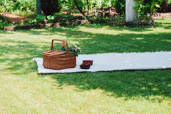 Cesta Vime Com Flores Garrafa Vinho Cobertor Branco Perto Bagas — Fotografia de Stock