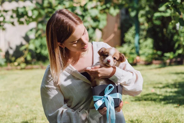 Chica Rubia Sosteniendo Cachorro Corgi Galés Caja Regalo Con Cinta —  Fotos de Stock