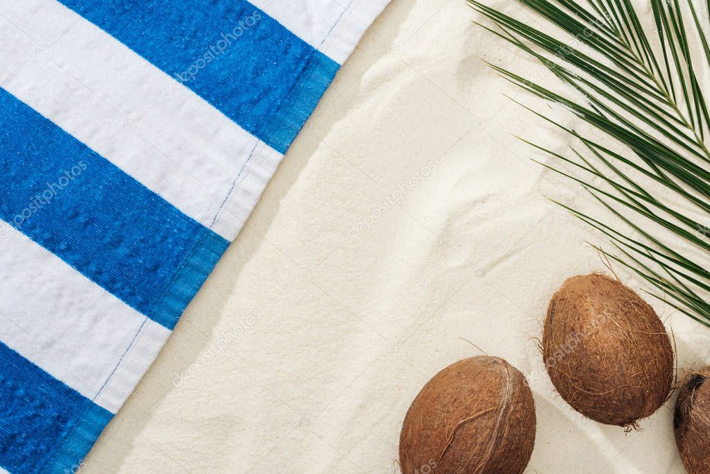 top view of palm leaf, coconuts and striped towel on sand 
